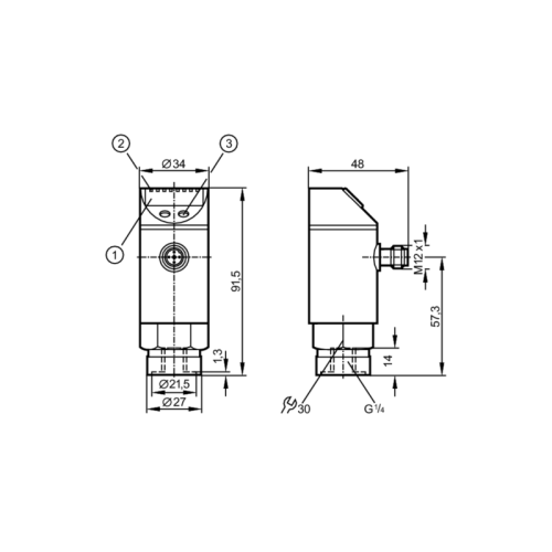 Датчик давления с дисплеем PE3029 Датчик давления с дисплеем PE3029