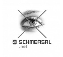 Kонцевой выключатель безопасности Schmersal T4VH336-11Z-ST